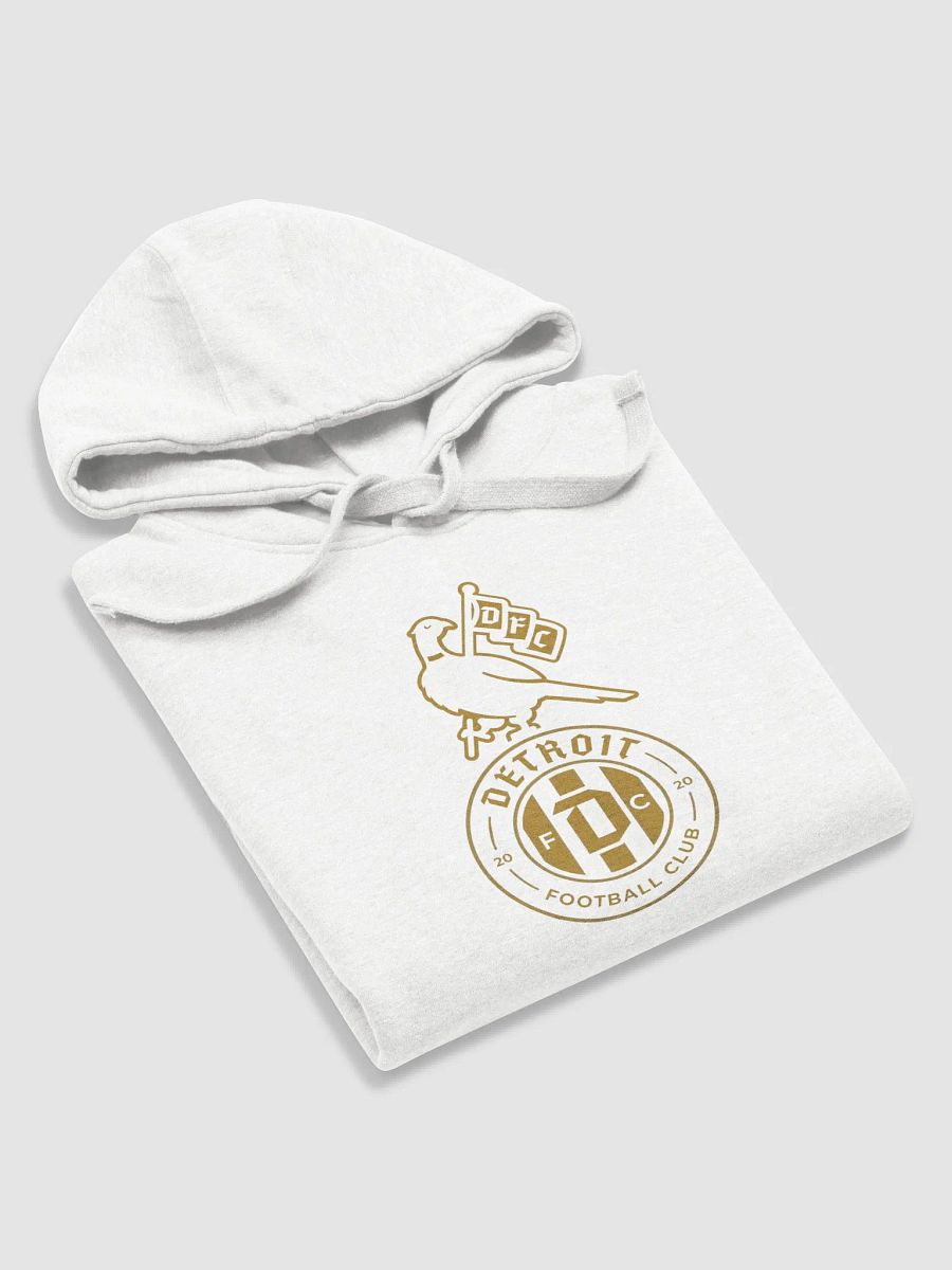 Detroit Football Club product image (5)