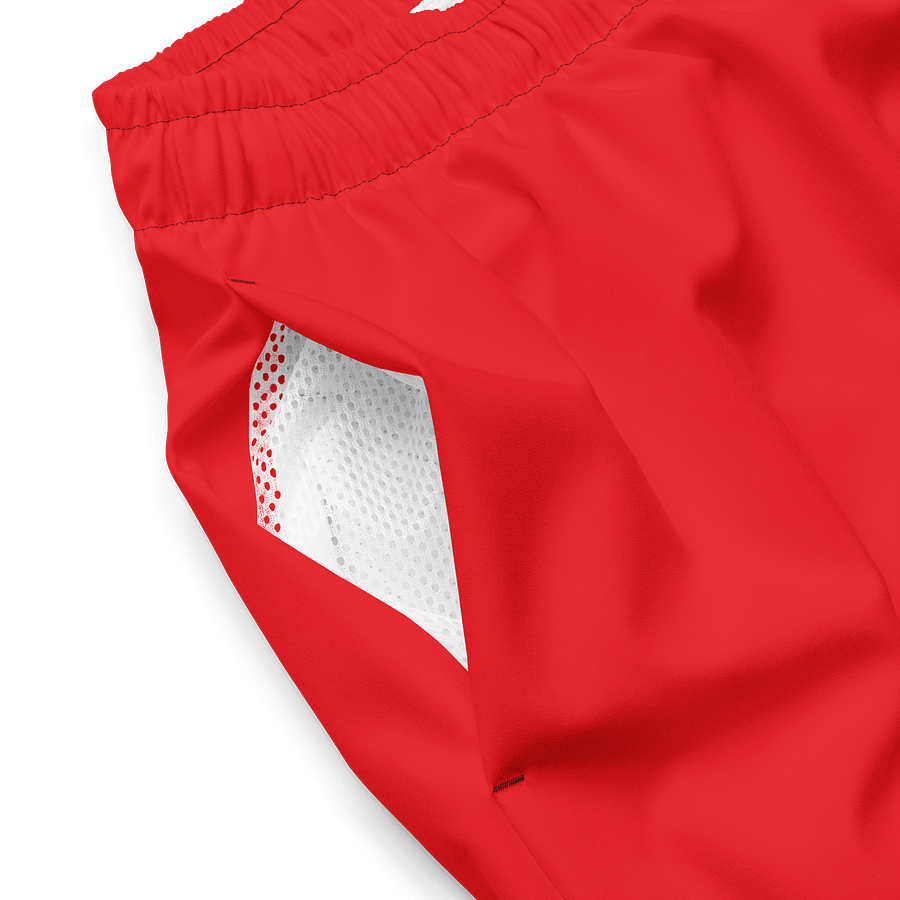 Wave Rider Dolphin Swim Trunks Red product image (4)
