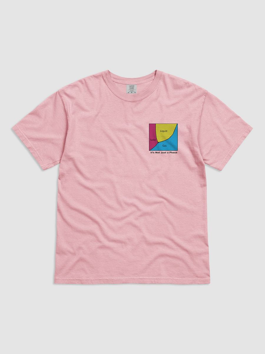 It's Not Just a Phase- Pan T Shirt product image (1)