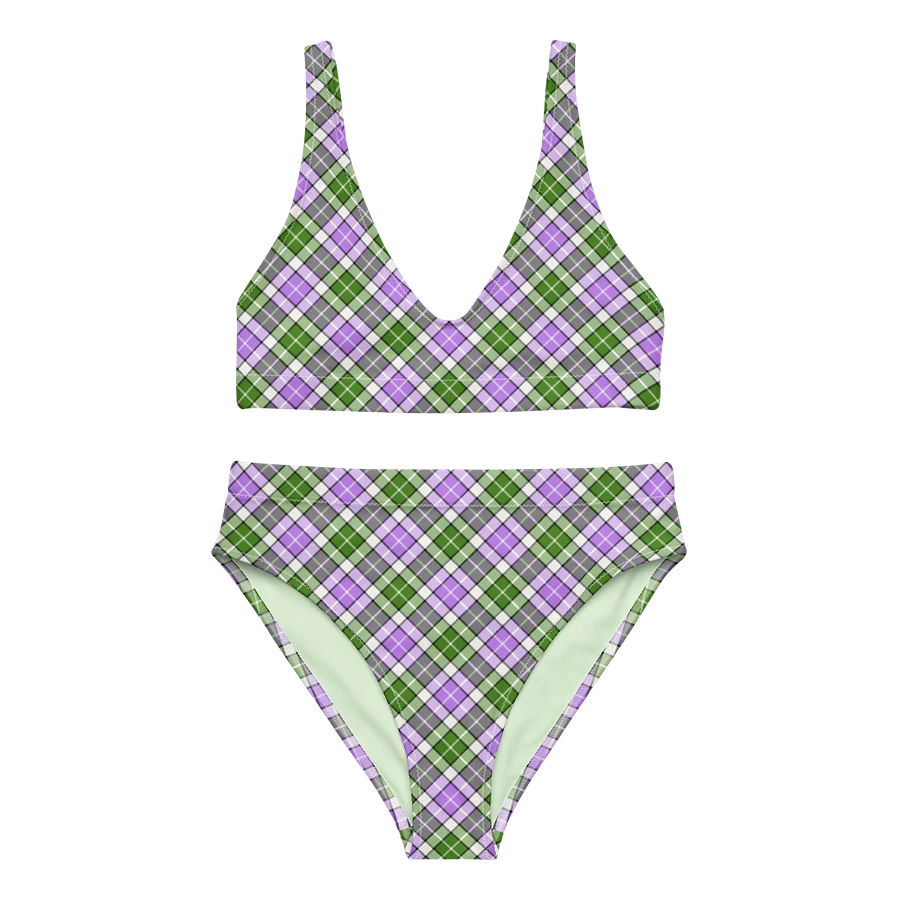 Lavender and Green Plaid Bikini product image (2)
