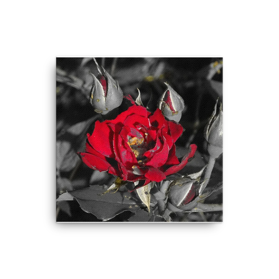 Rose on Canvas product image (1)