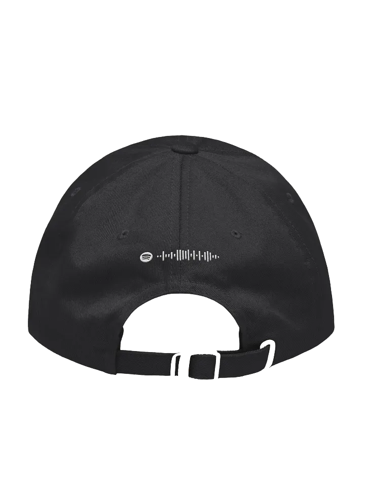 AP West Hat product image (2)