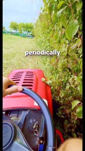 Periodically we tide up our apiary with this fantastic MTD92 lawnmower tractor. 
#beekeeping #modernbeekeeping #modernbeekeep...