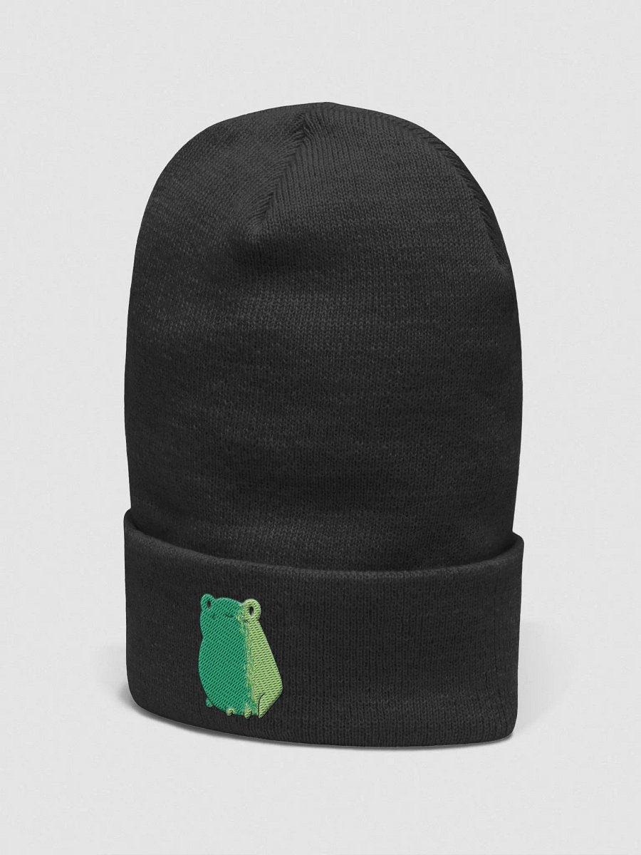 Froggy Beanie product image (4)