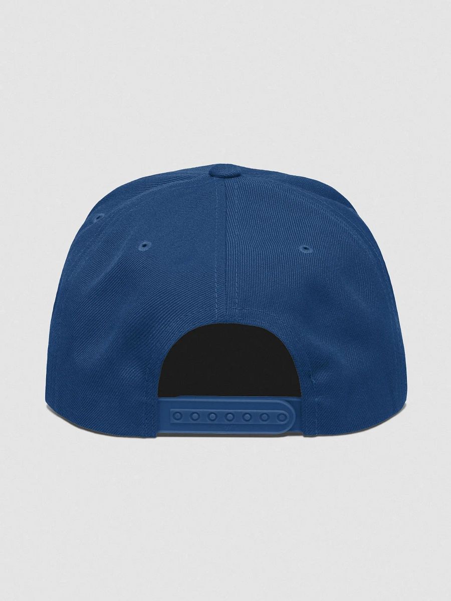 Alex Rayne Snapback product image (8)