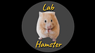 Lab Hamster