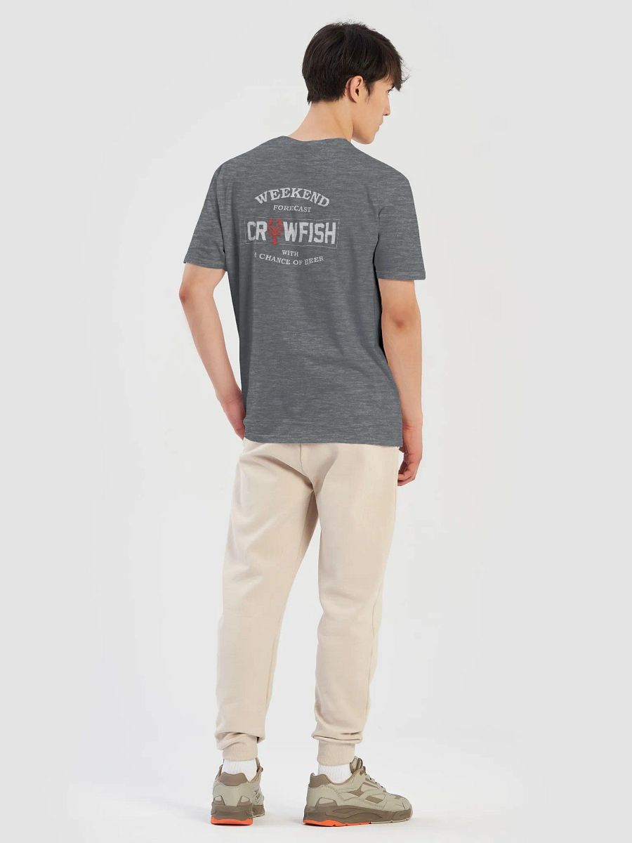 Cajun Crawfish Vibes T-Shirt product image (31)