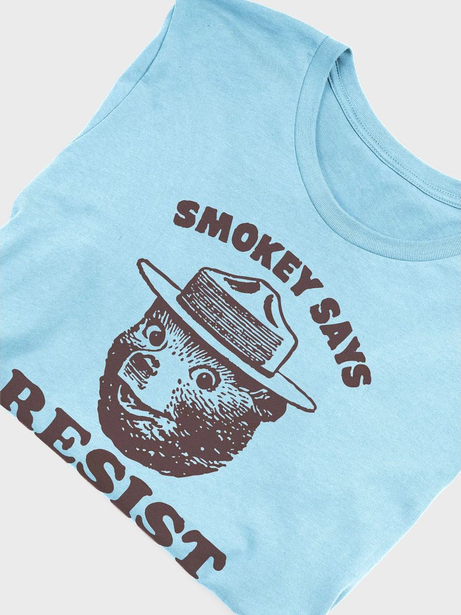 Smokey Says RESIST! Comfort Fitted T-Shirt Alt National Parks Wear Resistance Rangers product image (35)
