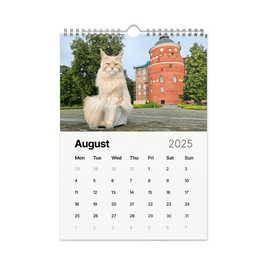2025 Calendar - Maine Coon Adventures + Kittens product image (2)
