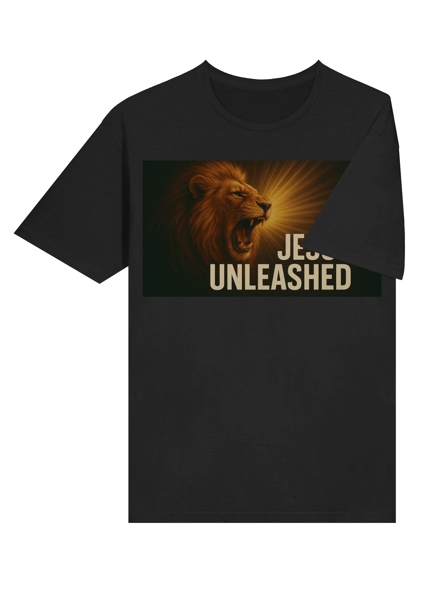jesus unleashed product image (6)