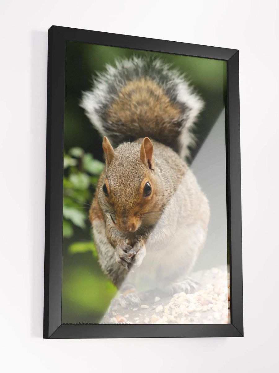 Squirrel Framed Matte Finish Prints product image (3)