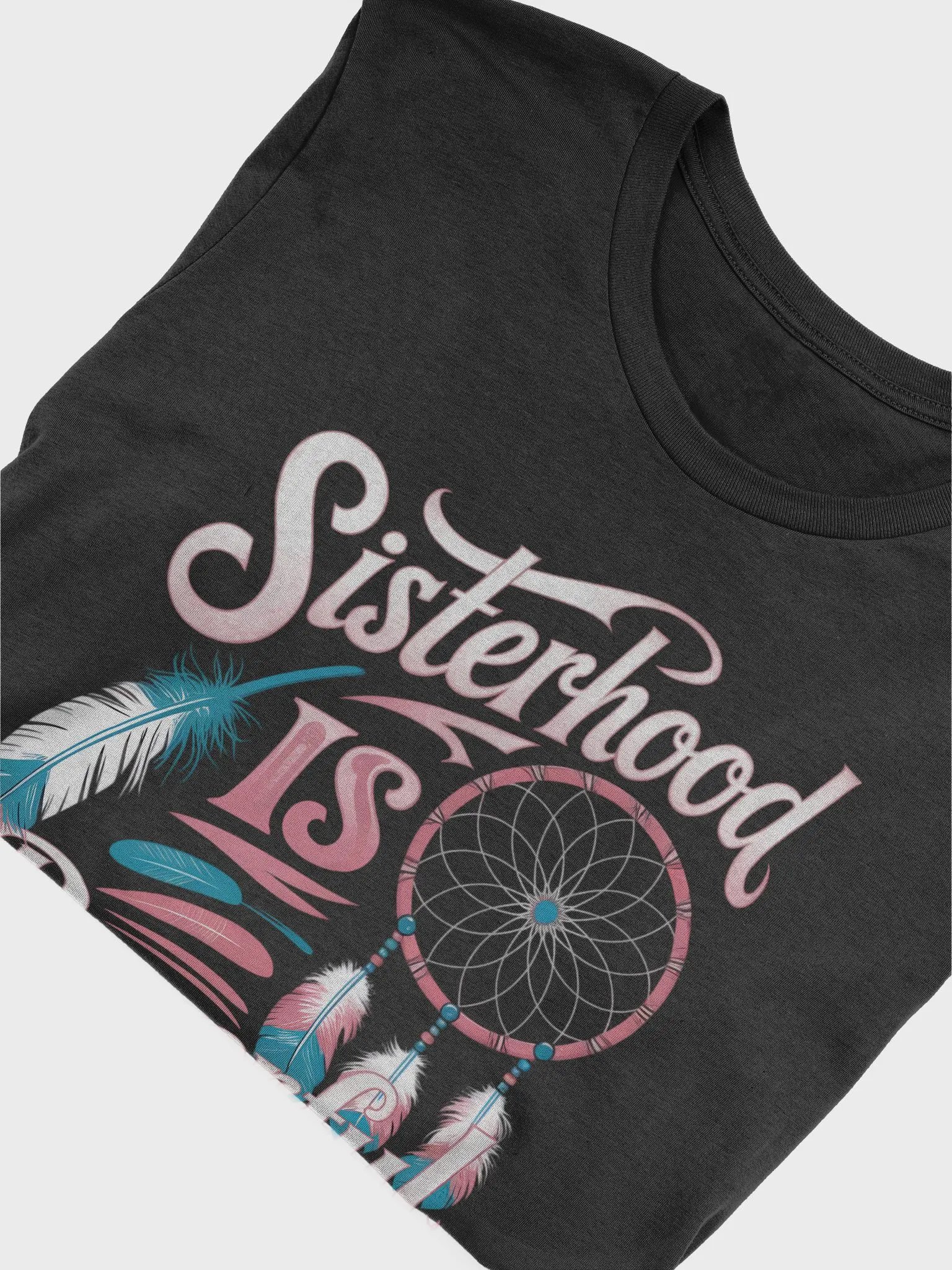 Sisterhood is Powerful Native Unity and Strength T-Shirt product image (6)