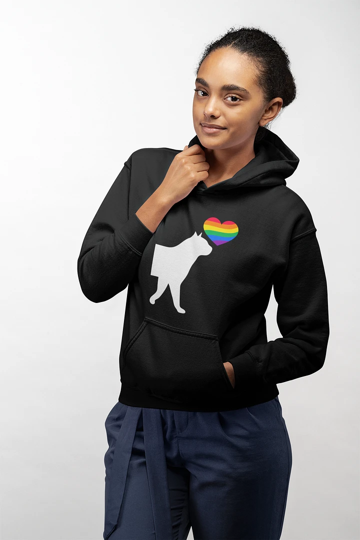 LGBTQ+ Hoodie Pussycat Rainbow Heart (dark) product image (1)