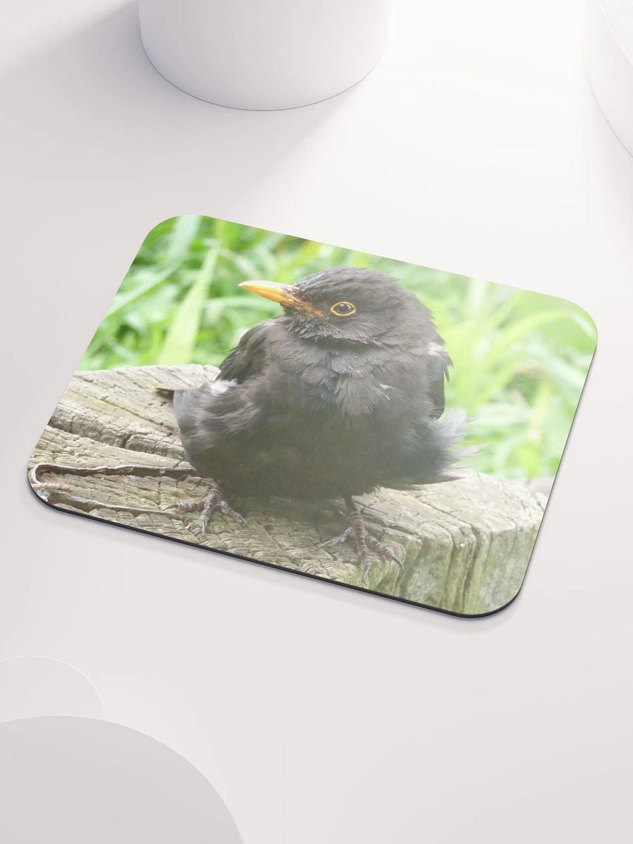 Classic Mouse Pad - The common blackbird #2 product image (3)