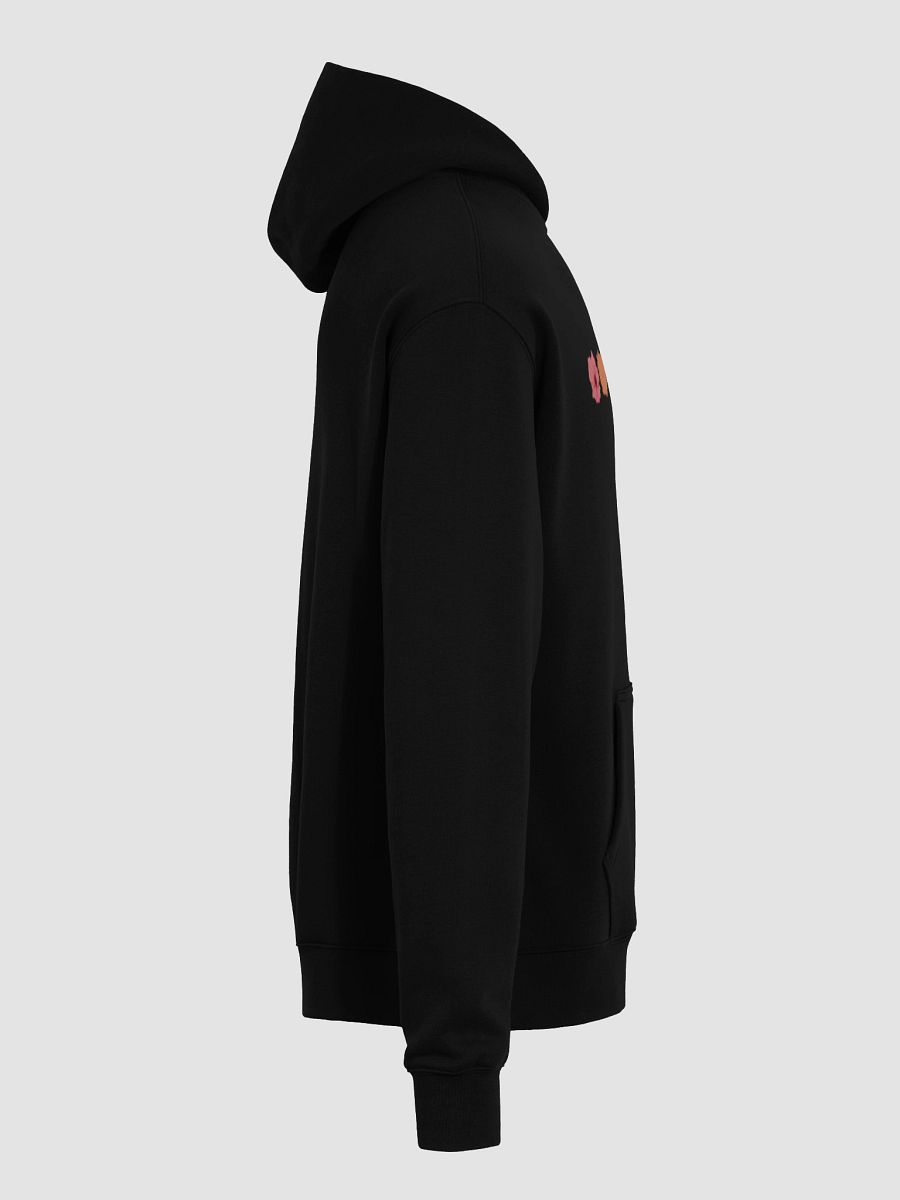 Cozy Pride Hoodie product image (8)