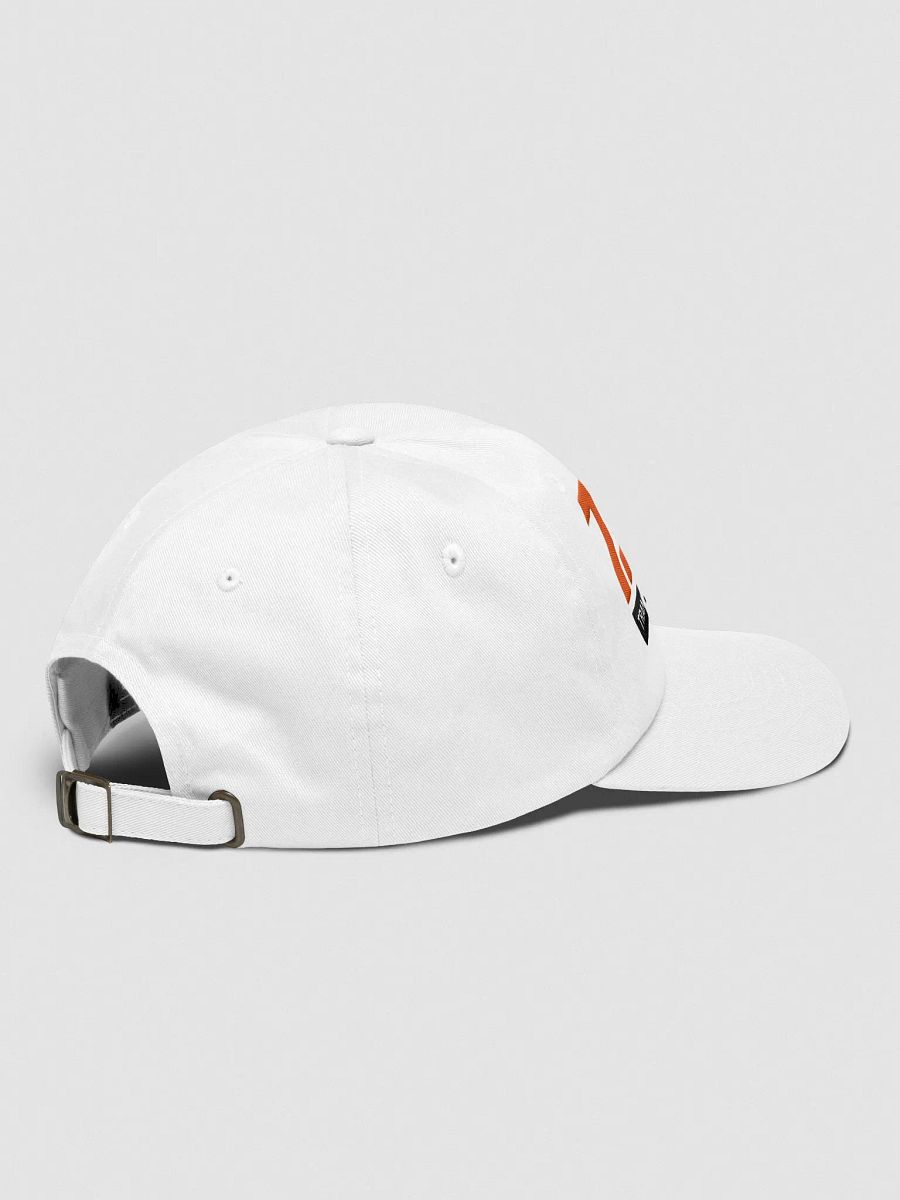 TSR Low Profile Embroidered Cap product image (2)