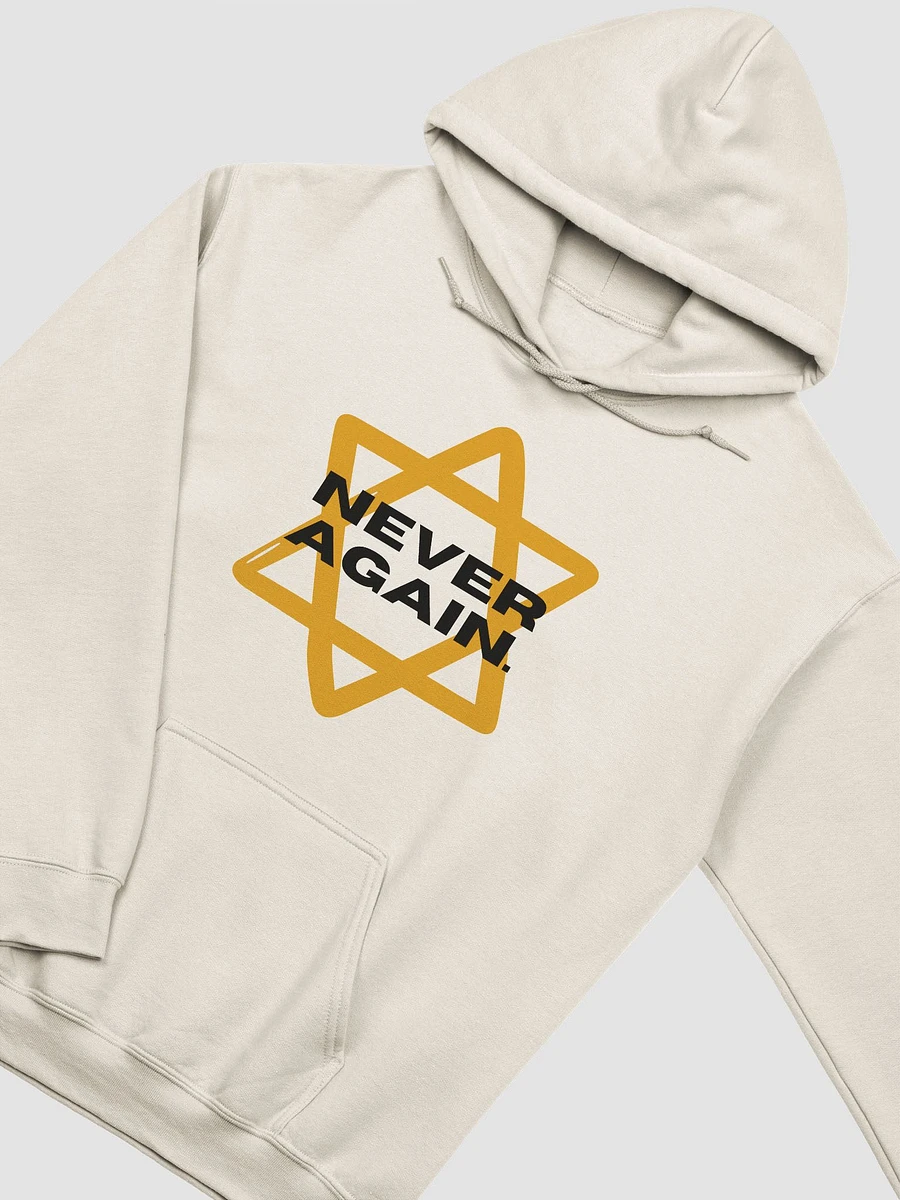 Never Again Hoodie product image (5)