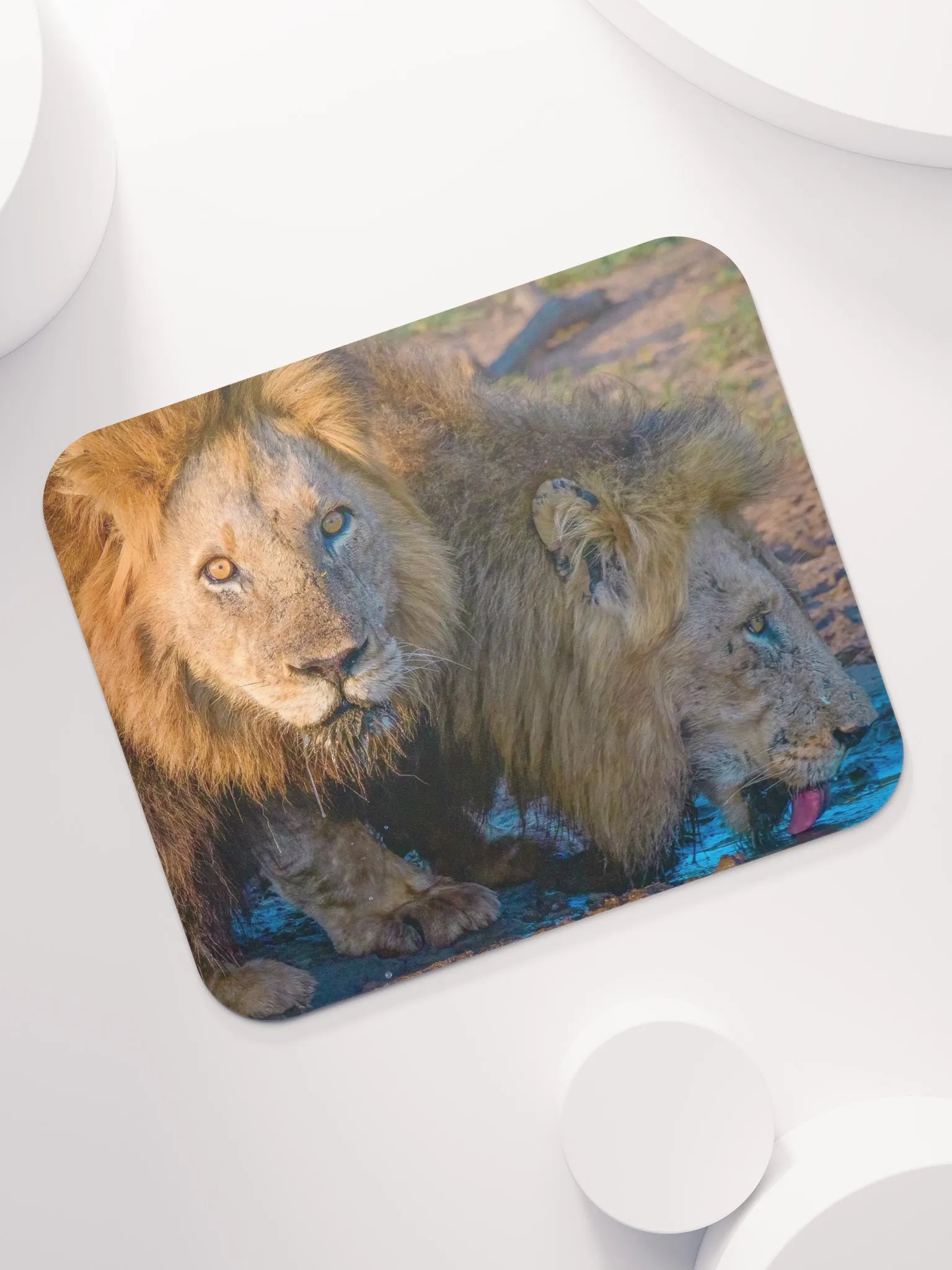 Unique mouse pad with two male lions from Kruger Park product image (7)