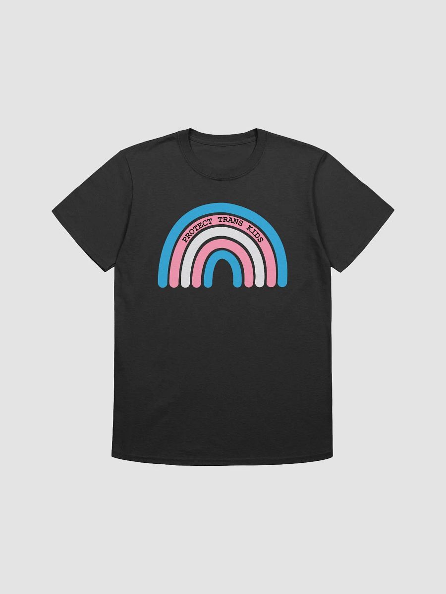 Protect Trans Kids Tee product image (1)