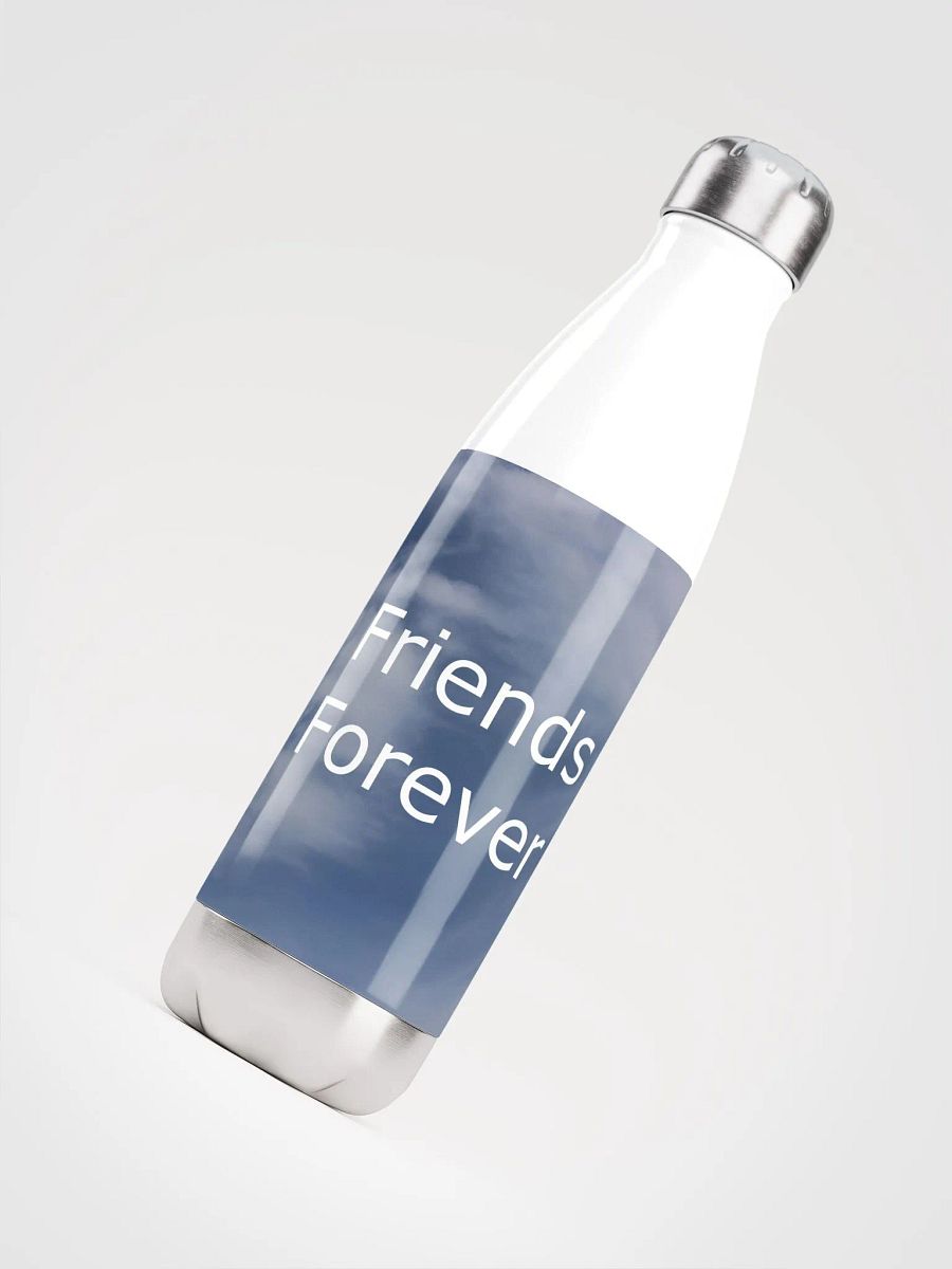 Friends Forever Water Bottle product image (4)