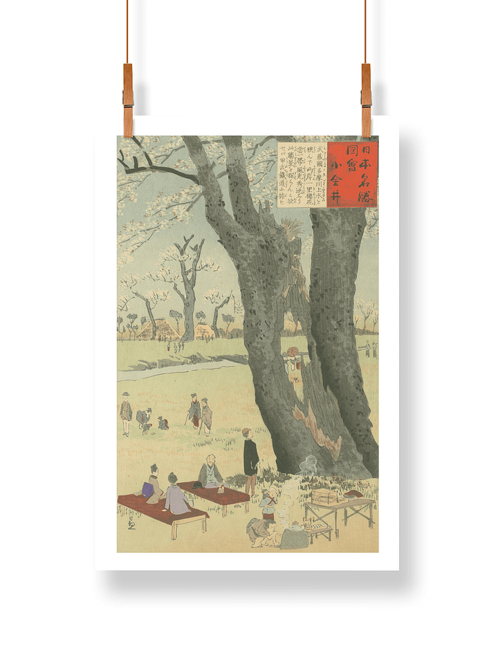 Cherry Trees at Koganei - Kobayashi Kiyochika product image (1)