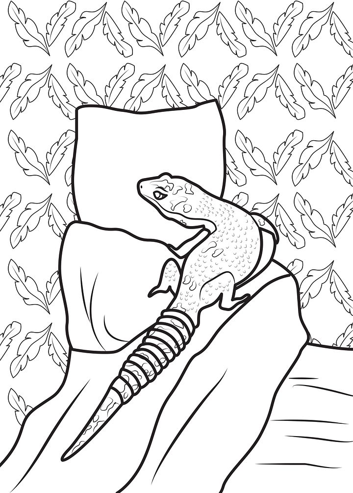 Leopard Gecko Digital Colouring Book product image (2)