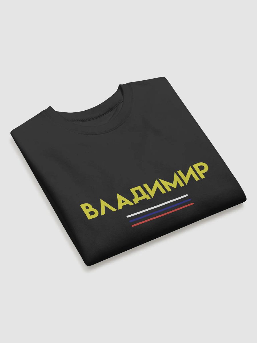 Vibrant Identity Premium Sweatshirt product image (3)