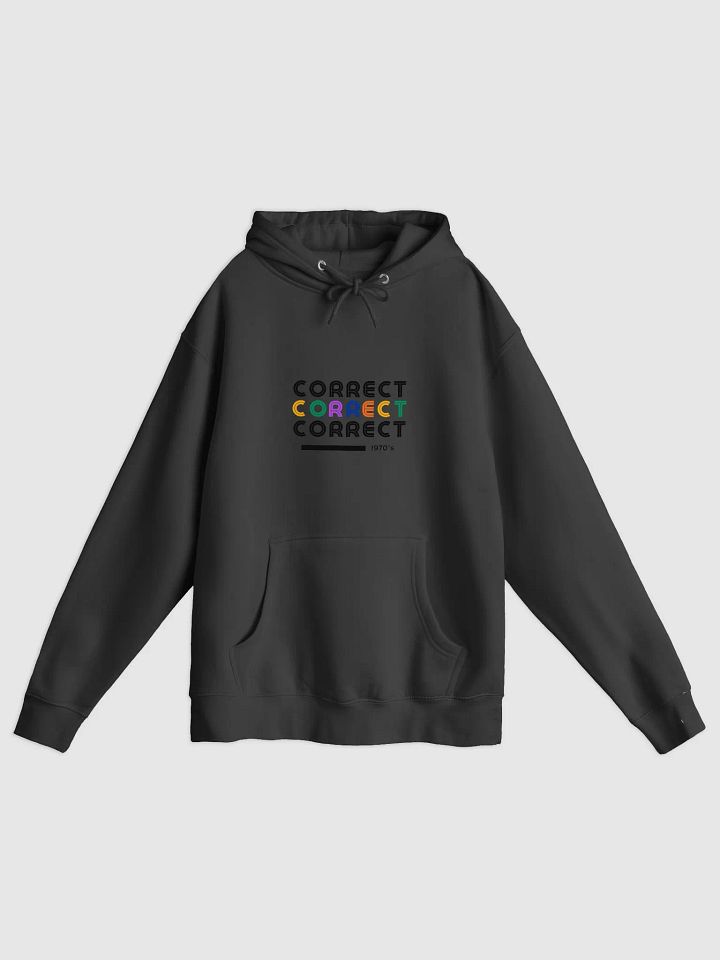 Correct Hoodie product image (1)