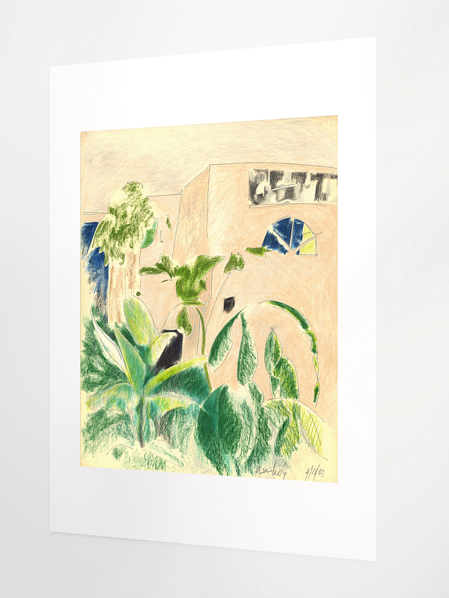Plants & Windows (1010 home) 04.20.83 print product image (3)