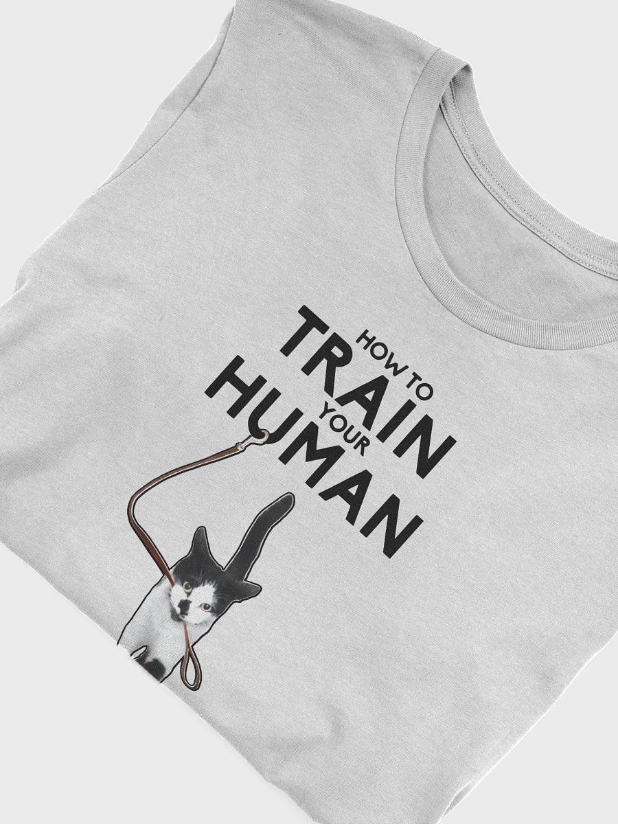 How to Train Your Human product image (32)