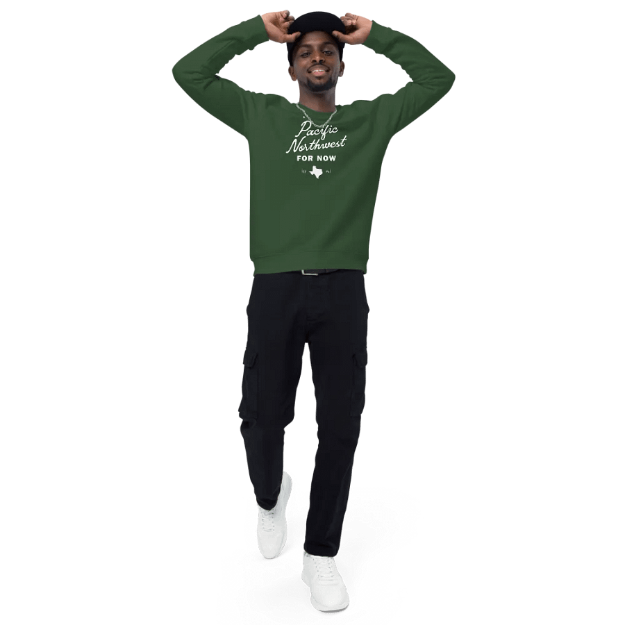 Pacific Northwest Texas Raglan Sweatshirt product image (6)