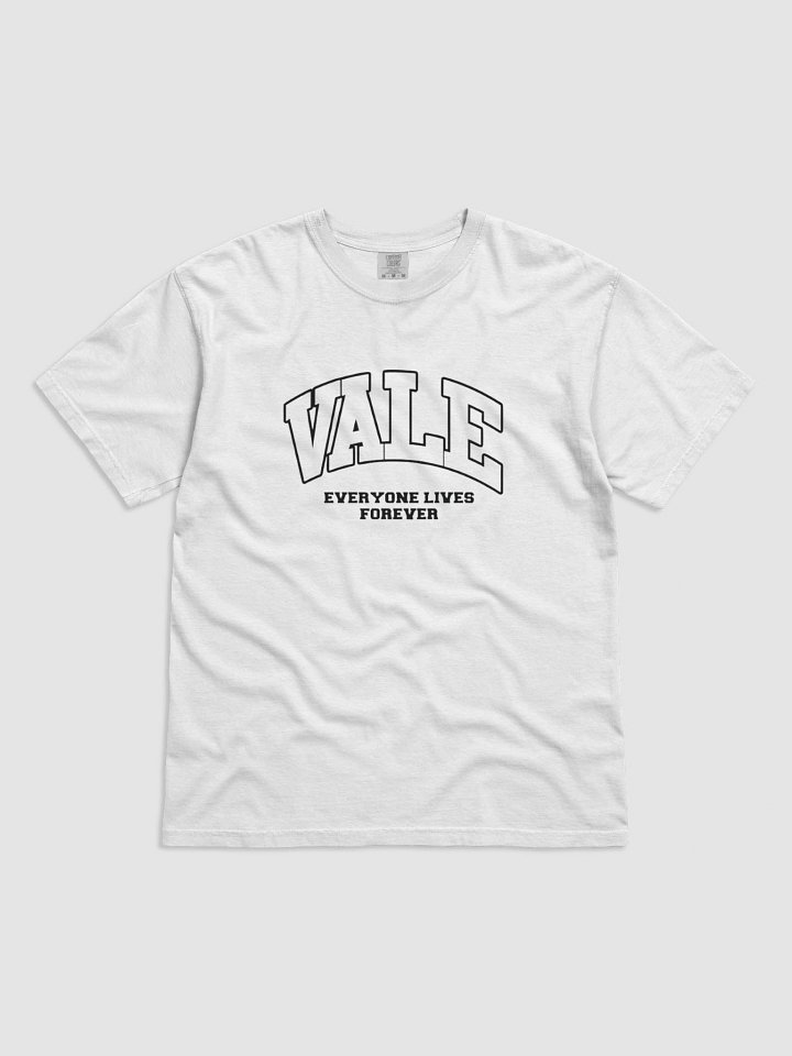 Valve Fitness & Services Logo T-shirt product image (9)
