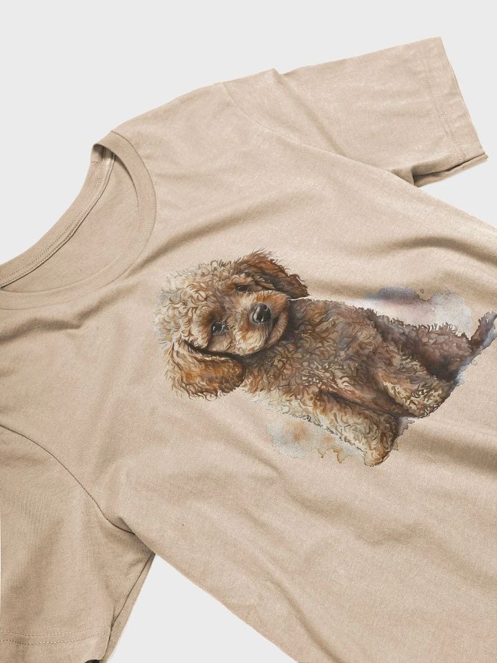 Apricot Poodle product image (2)