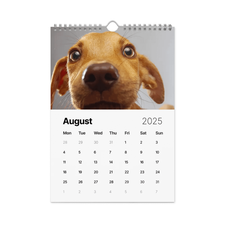 The first year - 2025 Calendar product image (9)