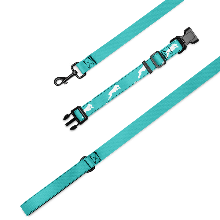 Mint Teal Leash & Collar product image (1)