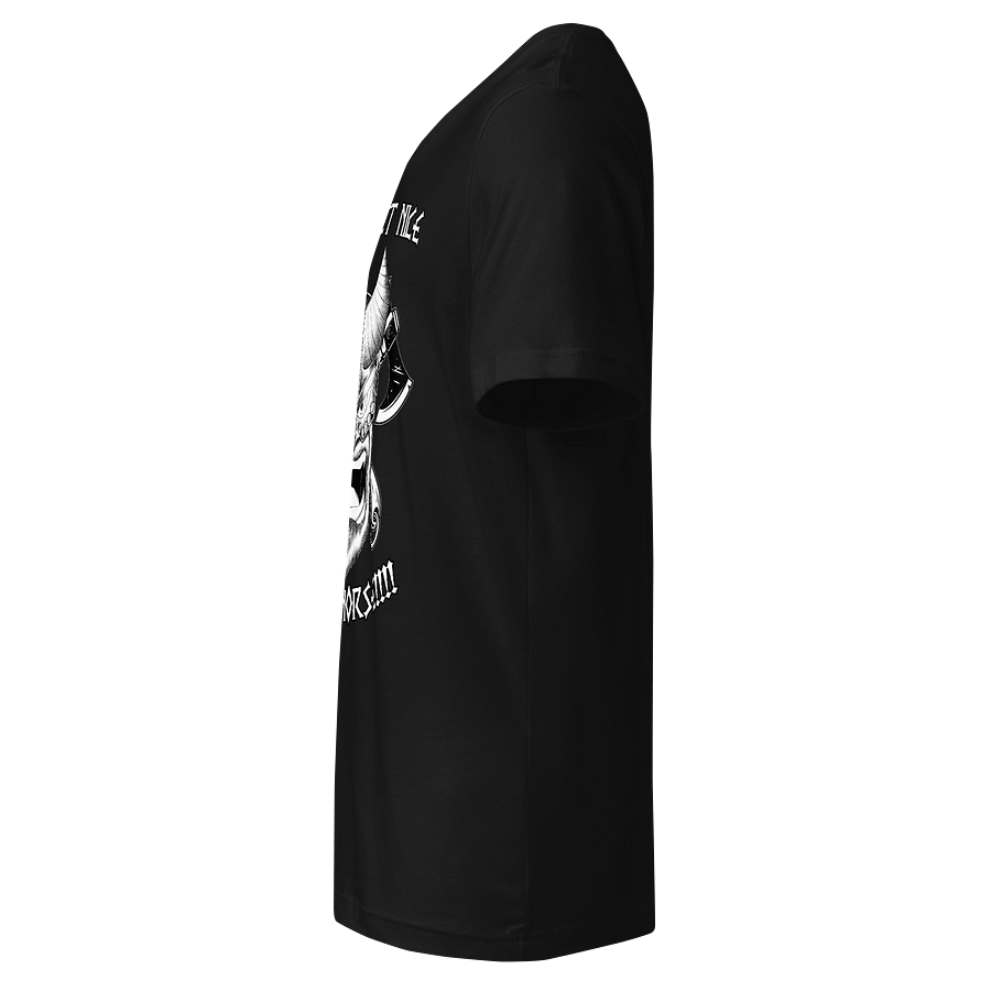 I don't get nice, I get Norse!!! (V neck) product image (5)