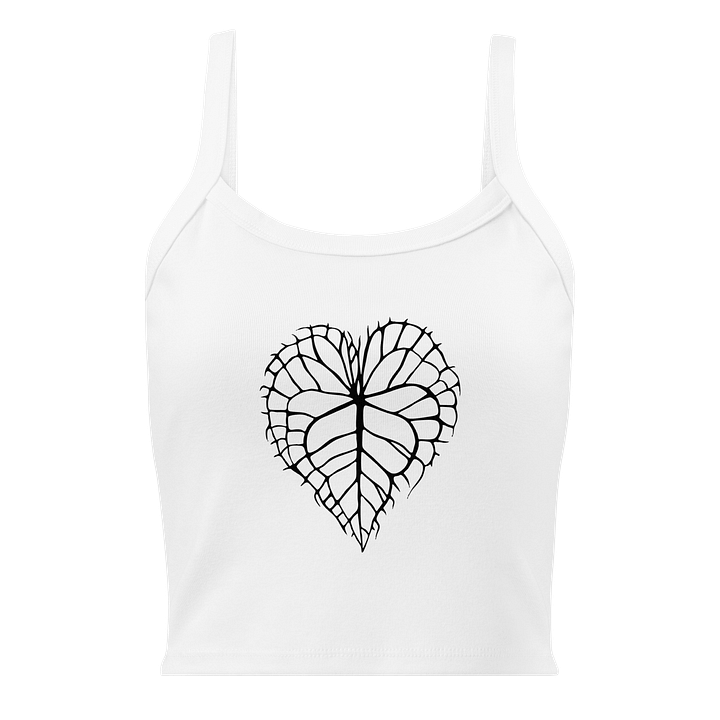 ANTHURIUM CLARINERVIUM SKELETON - Mid-Length Tank product image (13)