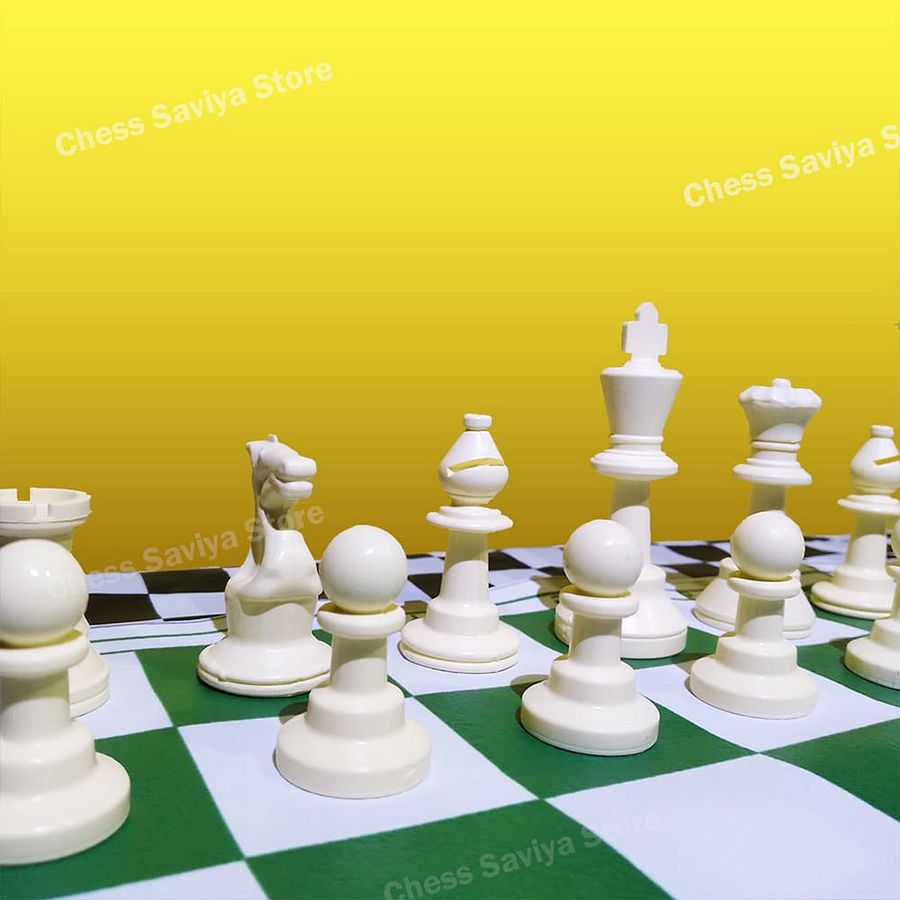 Chess Board Full Set with Bag product image (4)