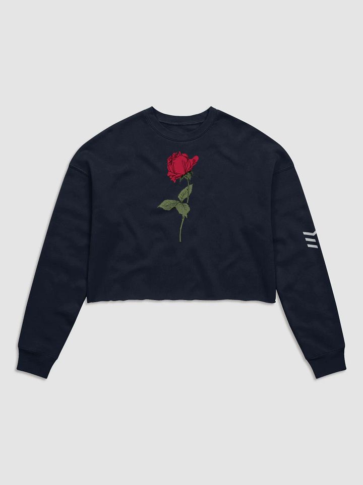 EM \\ Cropped Sweatshirt product image (1)