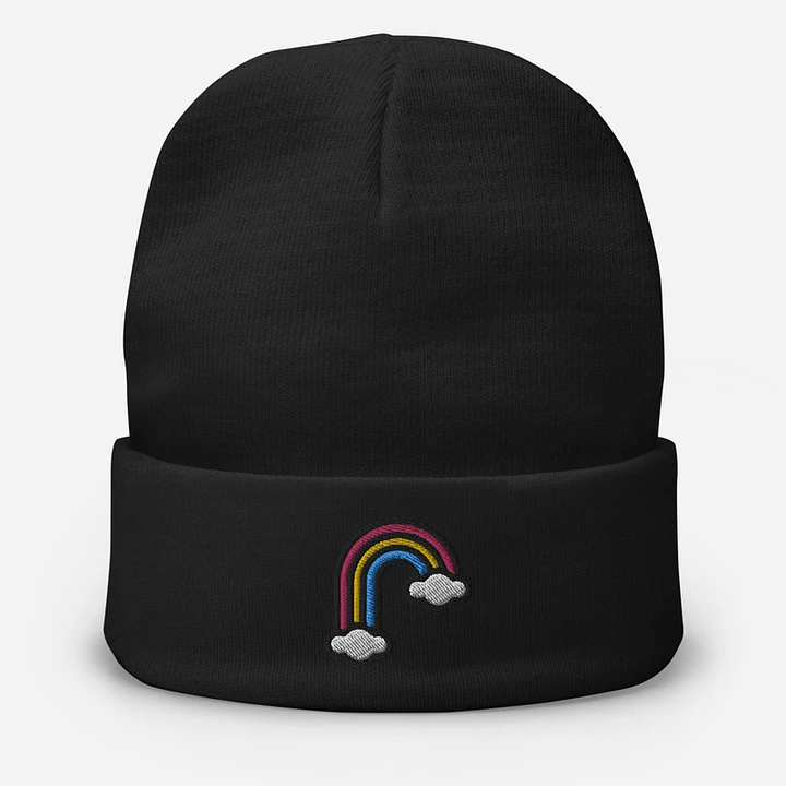 Gay Embroidered Beanie product image (1)