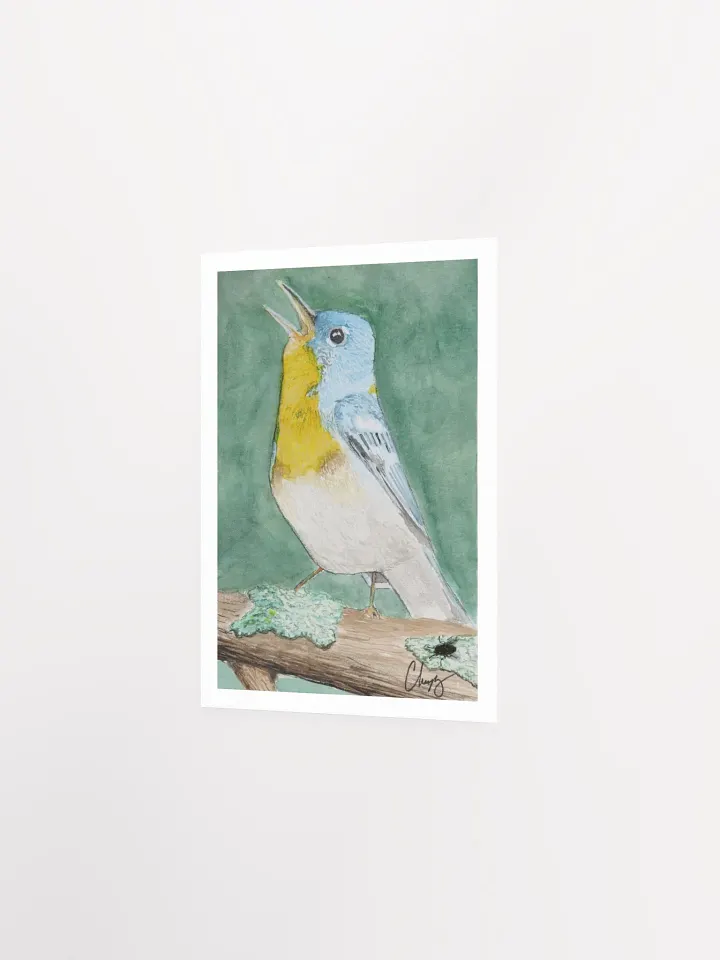 Northern Parula Warbler Print product image (2)