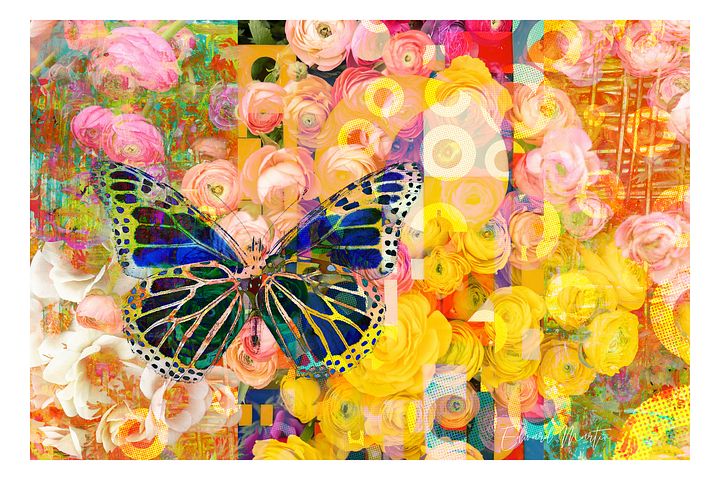 Chasing Butterflies product image (1)