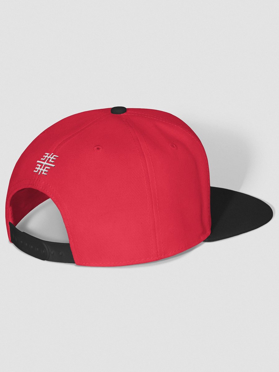 We got it for cheap - Entropy Snapback product image (17)
