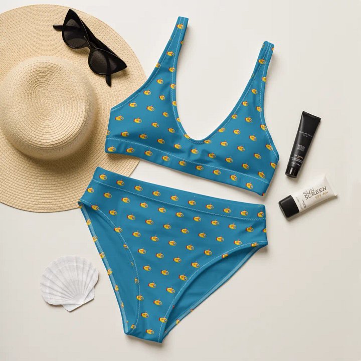 MSLA Sub Series - High Waisted Bikini product image (1)
