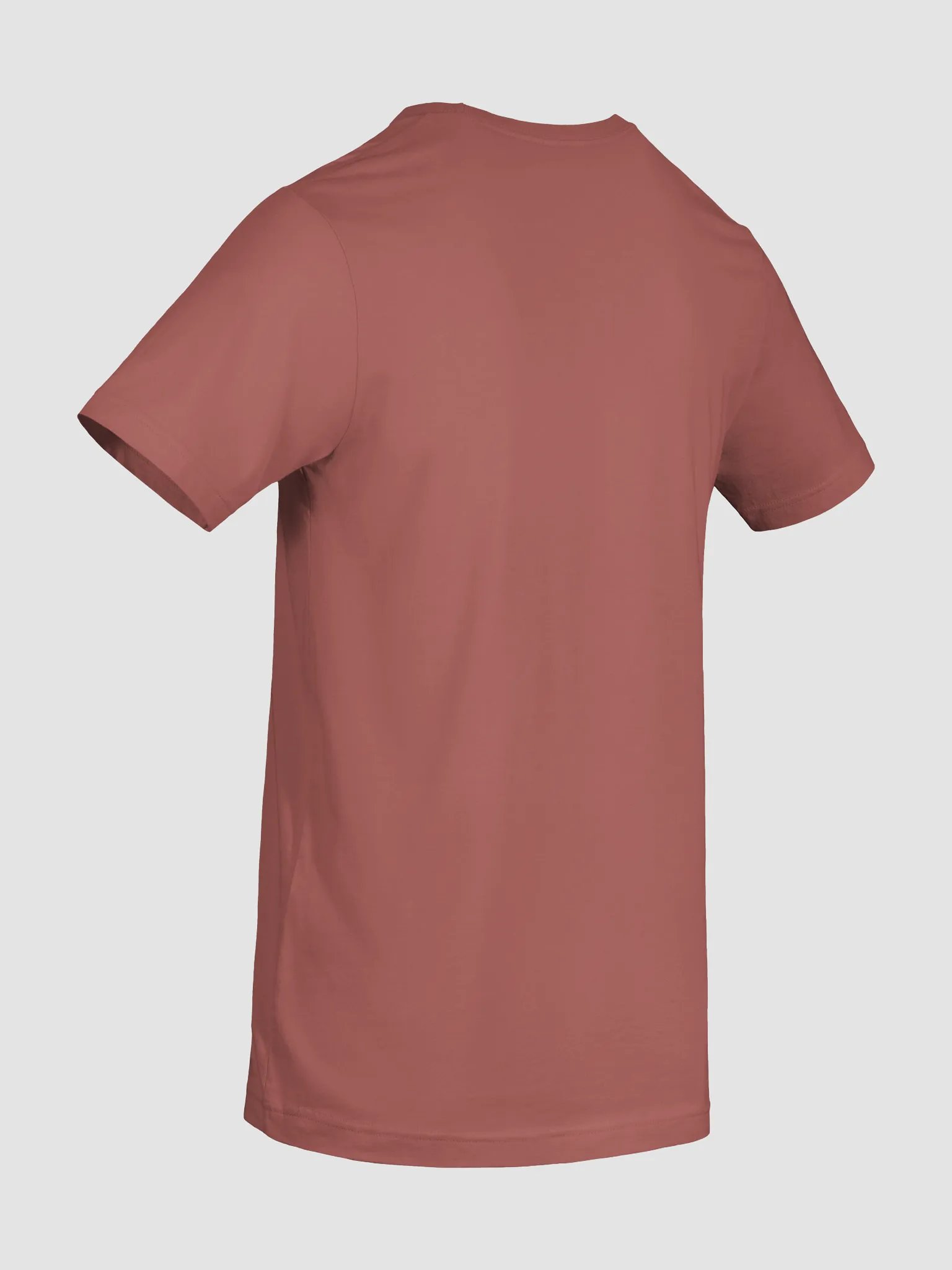 Bella+Canvas Iconic T-Shirt: Embrace Tradition product image (8)
