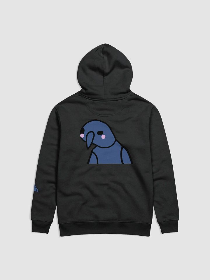BlushSki Essential Eco Hoodie product image (2)