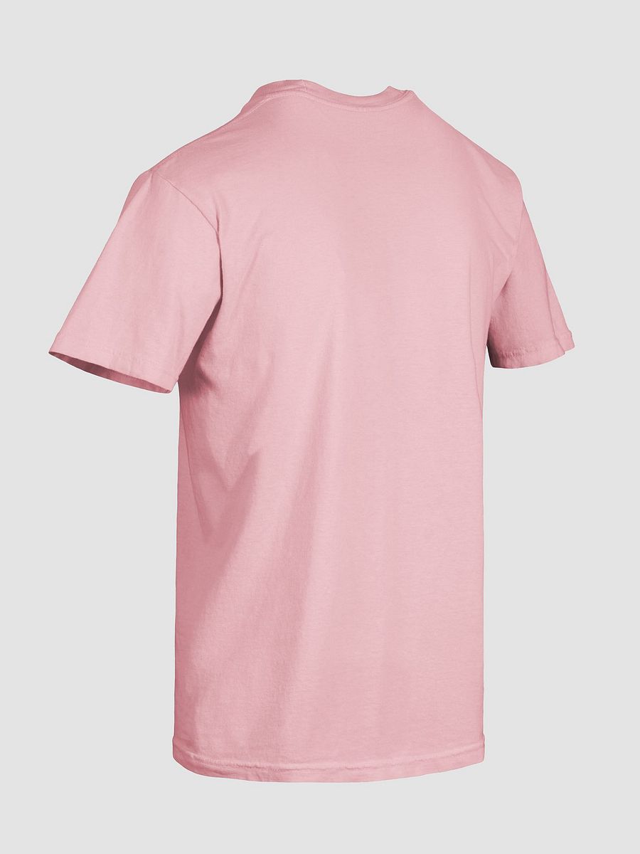 It's Not Just a Phase- Pan T Shirt product image (62)