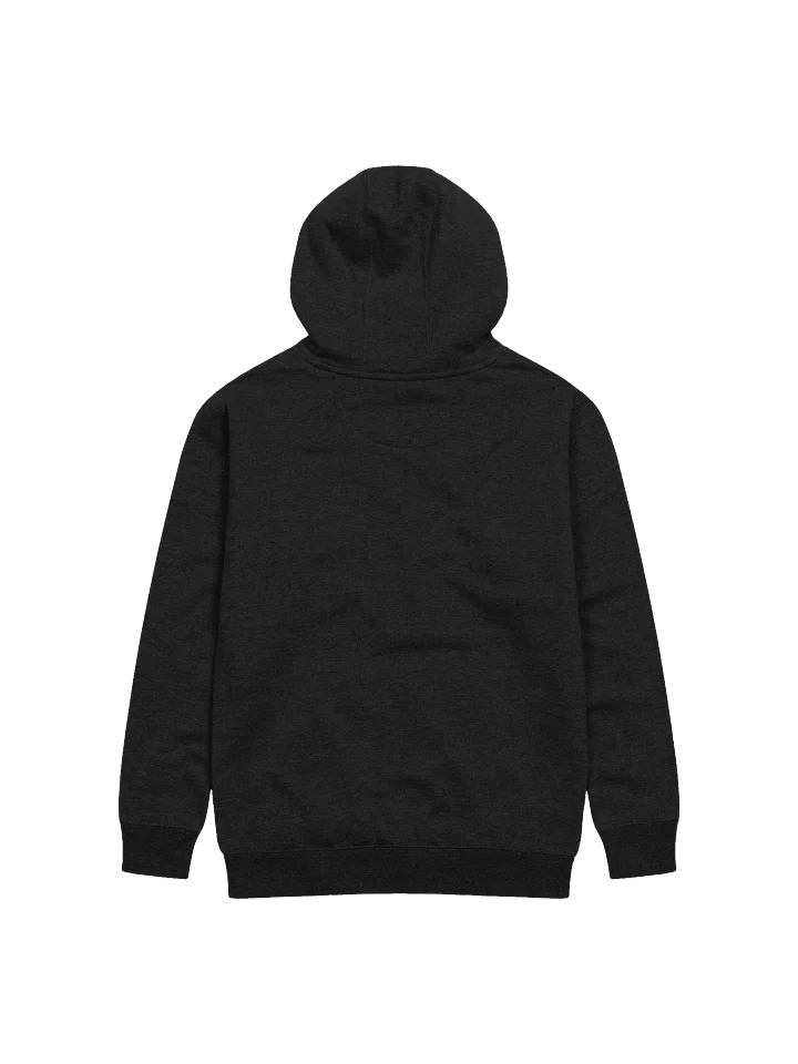 WOODSY Embroidered Hoodie product image (2)