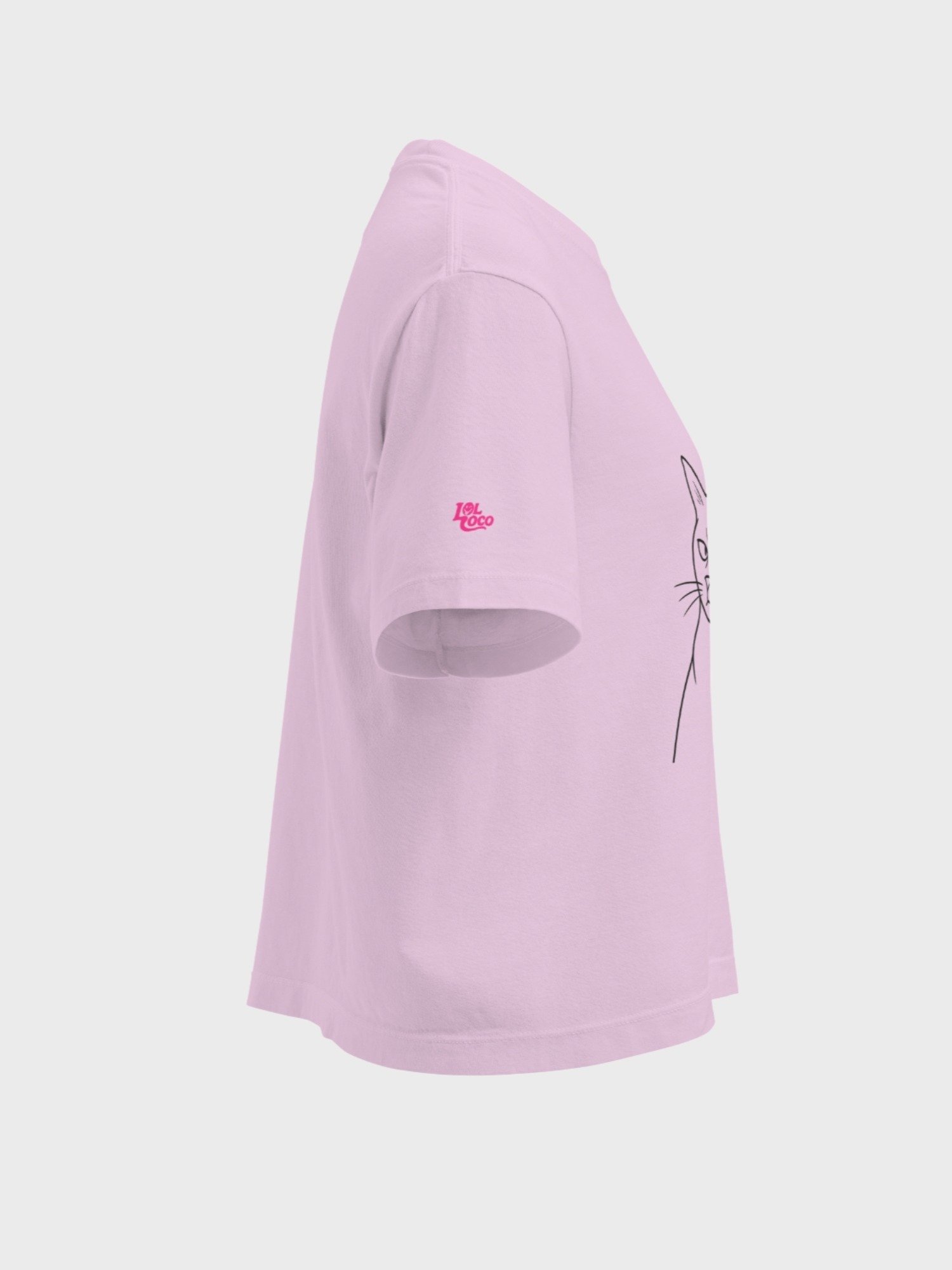 "Esquiusmiau" Boxy Tee (Light) product image (10)