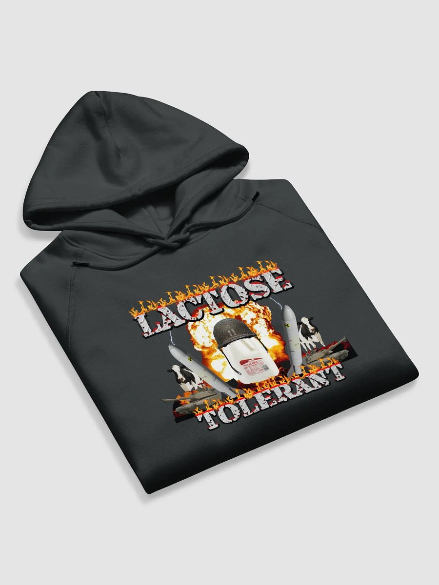 Lactose Tolerant Hoodie product image (12)